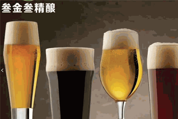 叁金叁精酿啤酒